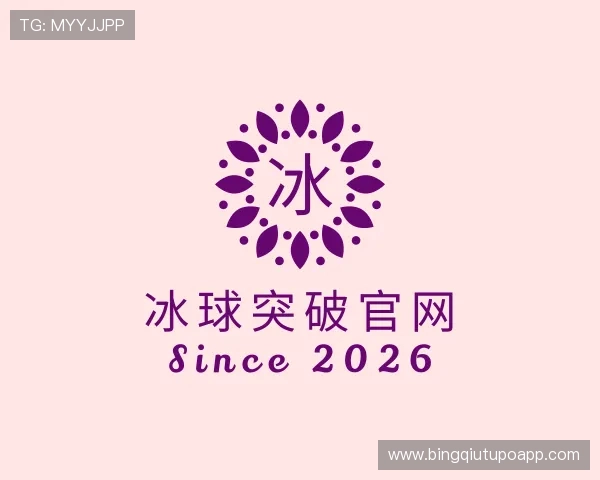 了解冰球突破官网